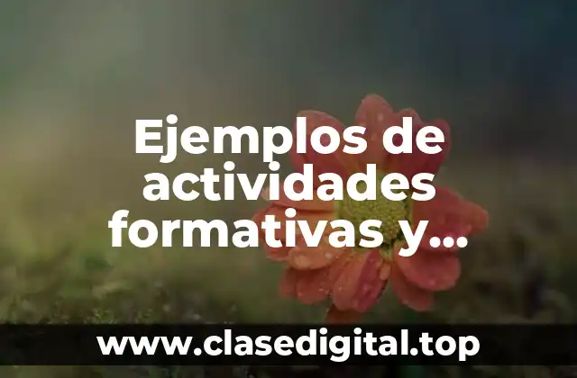 Ejemplos de actividades formativas y Significado