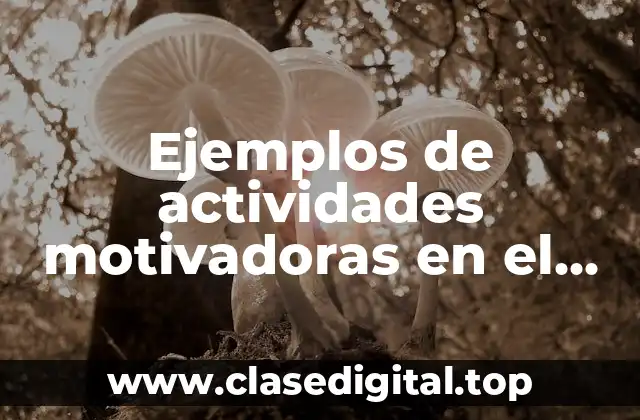 Ejemplos de actividades motivadoras en el aula y Significado