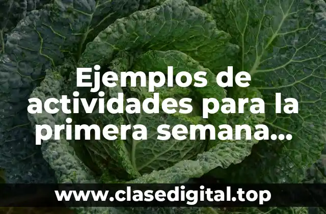 Ejemplos de actividades para la primera semana para quinto grado
