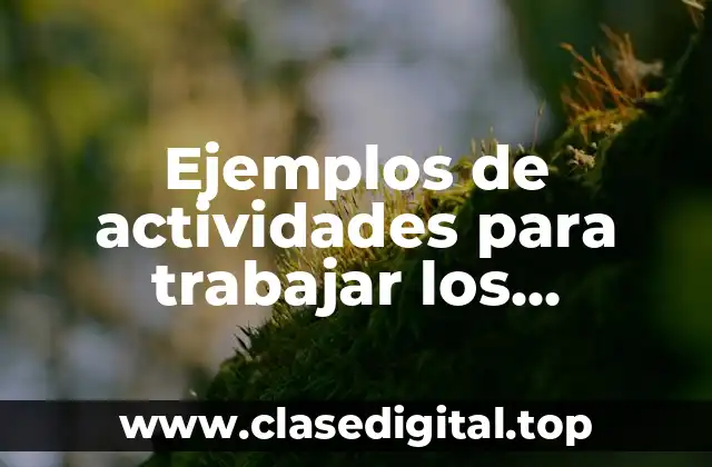 Ejemplos de actividades para trabajar los fenómenos naturales en