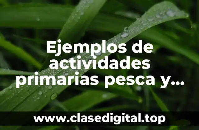 Ejemplos de actividades primarias pesca y Significado