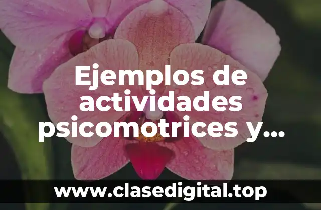 Ejemplos de actividades psicomotrices y Significado
