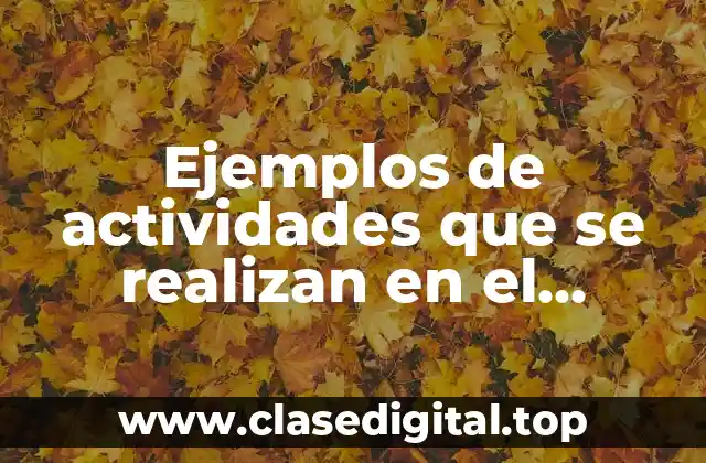 Ejemplos de actividades que se realizan en el servicio social