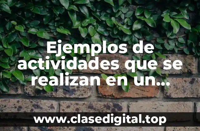 Ejemplos de actividades que se realizan en un municipio