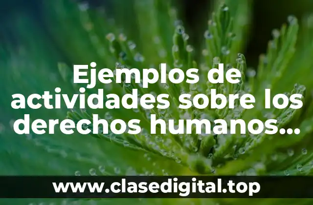 Ejemplos de actividades sobre los derechos humanos para secundaria