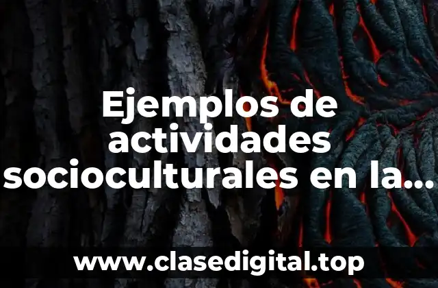 Ejemplos de actividades socioculturales en la escuela