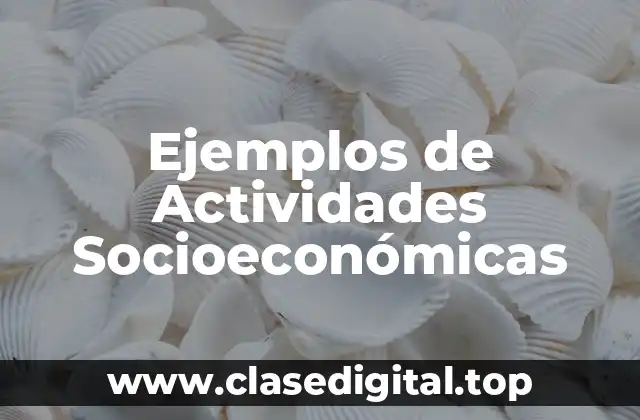 Ejemplos de Actividades Socioeconómicas