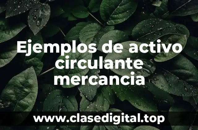 Ejemplos de activo circulante mercancia