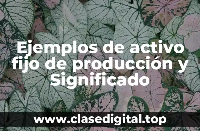 Ejemplos de activos fijos de producción