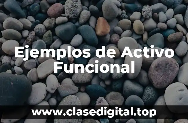 Ejemplos de Activo Funcional