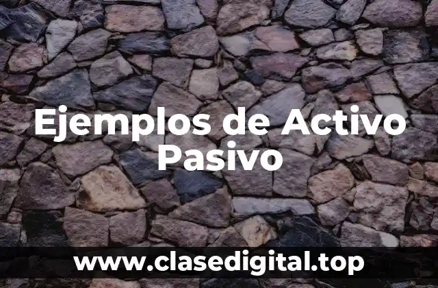 Ejemplos de Activo Pasivo