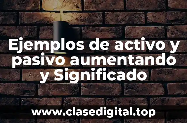 Ejemplos de activo y pasivo aumentando y Significado