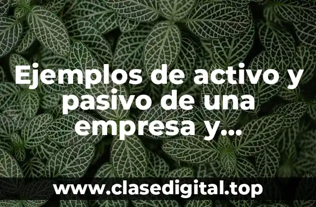 Ejemplos de activo y pasivo de una empresa
