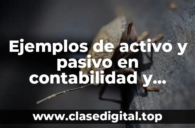 Ejemplos de activo y pasivo en contabilidad y Significado