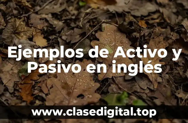 Ejemplos de Activo y Pasivo en inglés