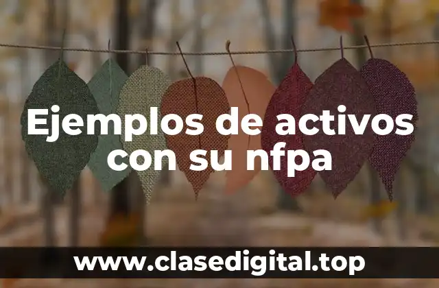 Ejemplos de activos con su nfpa
