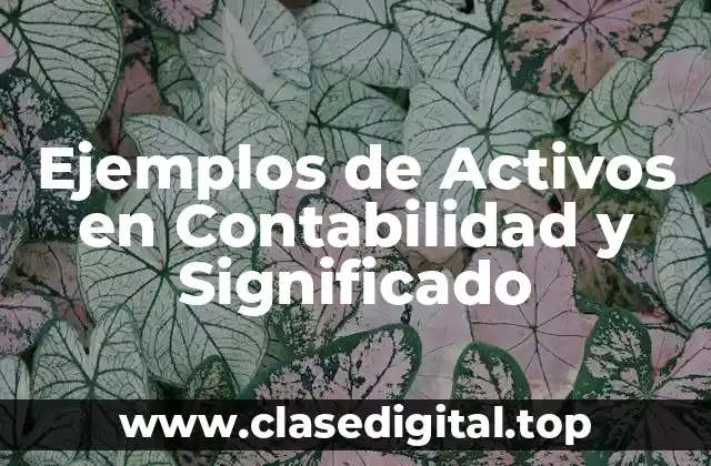 Ejemplos de Activos en Contabilidad