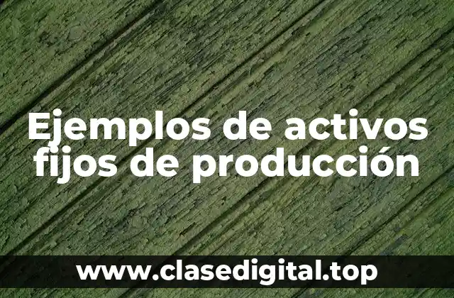 Ejemplos de activos fijos de producción