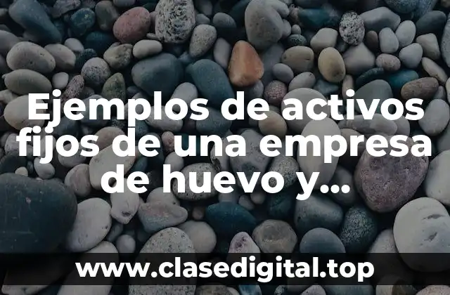 Ejemplos de activos fijos de una empresa de huevo y Significado