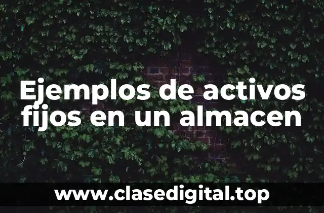 Ejemplos de activos fijos en un almacen