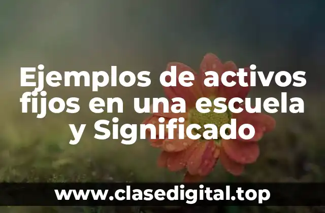 Ejemplos de activos fijos en una escuela y Significado