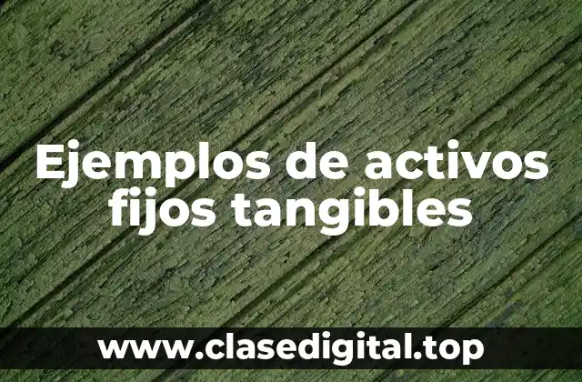 Ejemplos de activos fijos tangibles