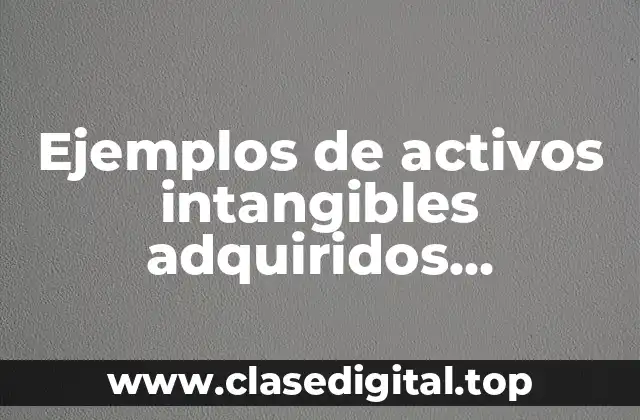 Ejemplos de activos intangibles adquiridos separadamente