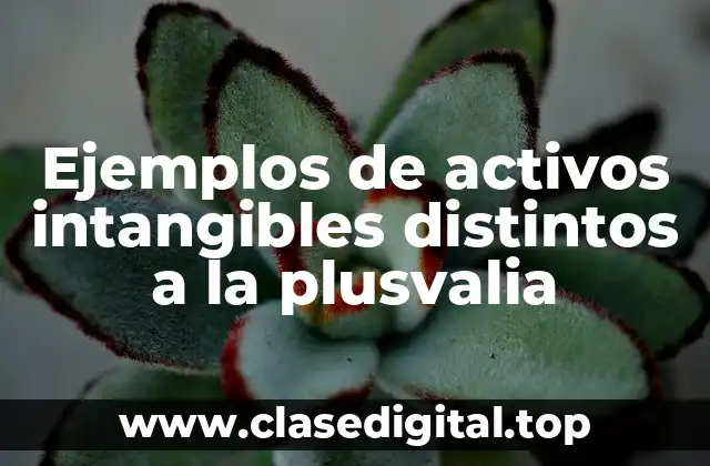 Ejemplos de activos intangibles distintos a la plusvalia