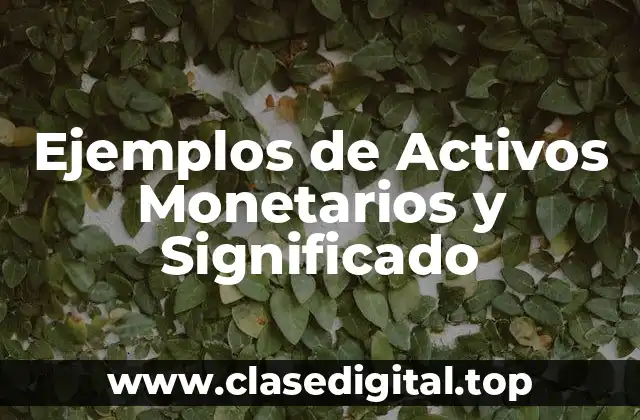Ejemplos de Activos Monetarios y Significado