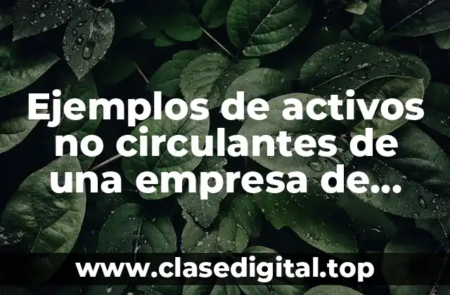 Ejemplos de activos no circulantes de una empresa de vinos