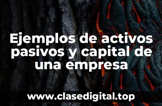 Ejemplos de activos pasivos y capital de una empresa