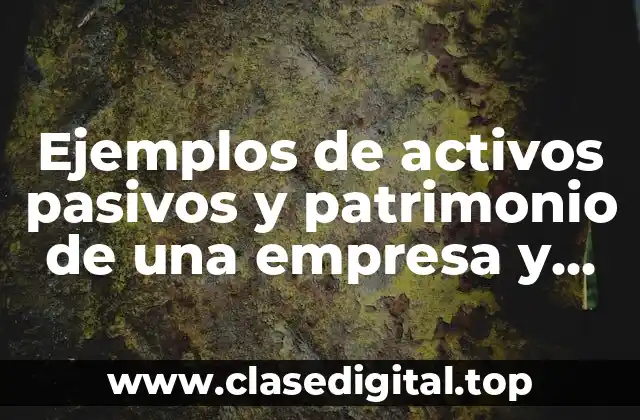 Ejemplos de activos pasivos y patrimonio de una empresa y Significado