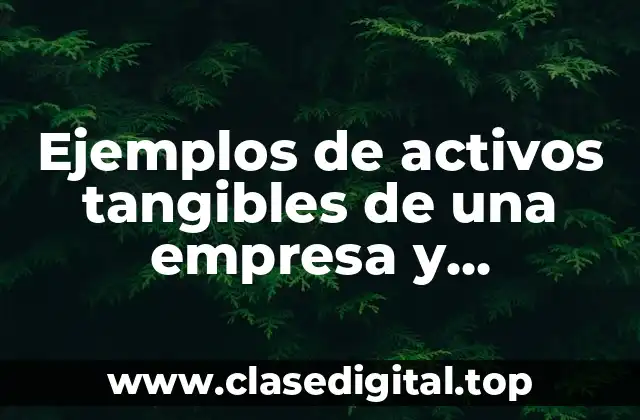 Ejemplos de activos tangibles de una empresa
