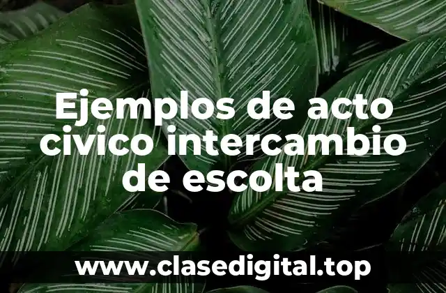 Ejemplos de acto civico intercambio de escolta