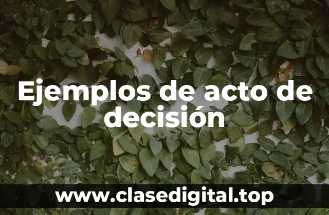 Ejemplos de acto de decisión