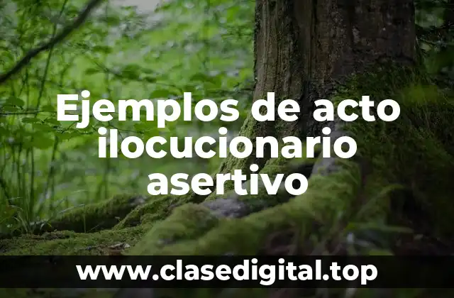 Ejemplos de acto ilocucionario asertivo