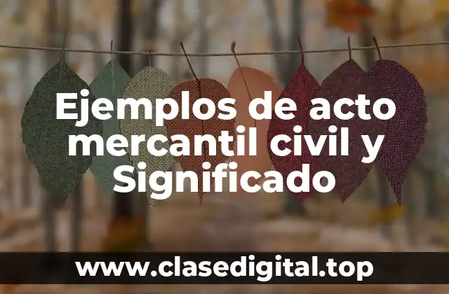 Ejemplos de acto mercantil civil y Significado