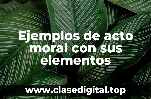 Ejemplos de acto moral con sus elementos