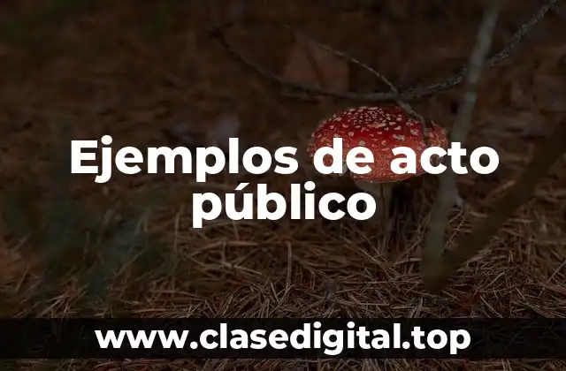 Ejemplos de acto público
