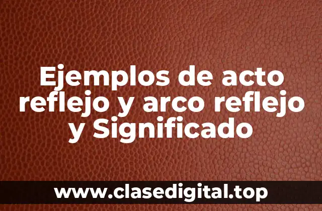 Ejemplos de acto reflejo y arco reflejo y Significado