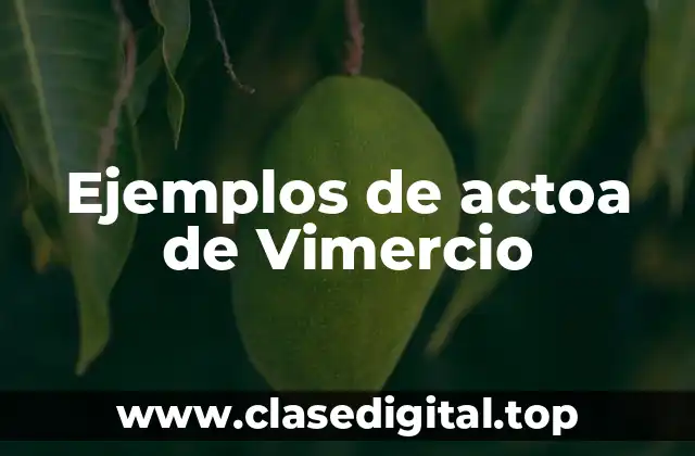 Ejemplos de actoa de Vimercio