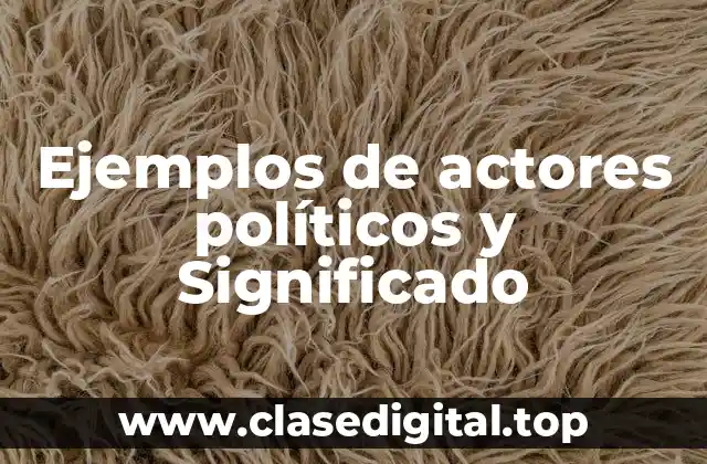 Ejemplos de actores políticos y Significado