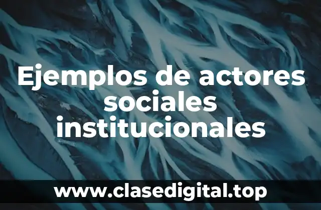 Ejemplos de actores sociales institucionales