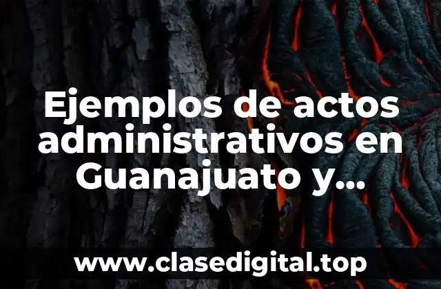Ejemplos de actos administrativos en Guanajuato y Significado