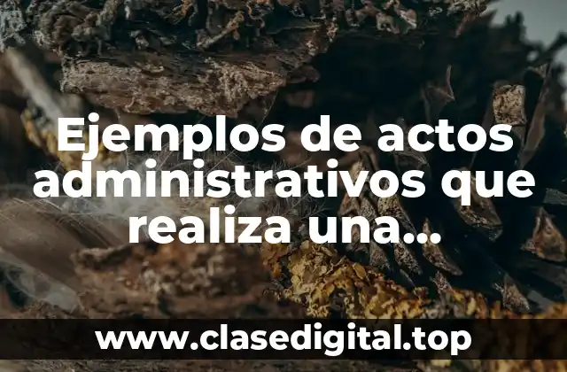 Ejemplos de actos administrativos que realiza una universidad y Significado