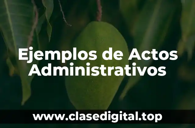 Ejemplos de Actos Administrativos