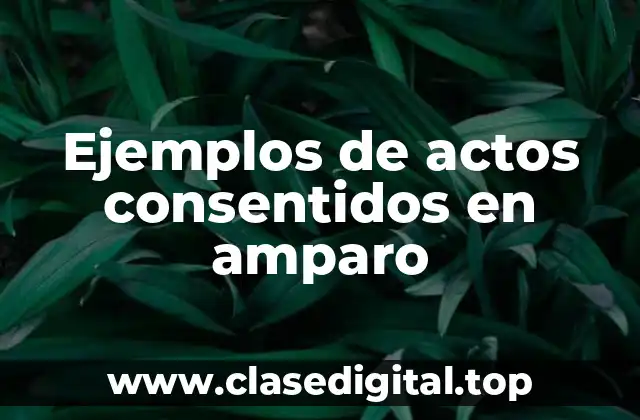 Ejemplos de actos consentidos en amparo