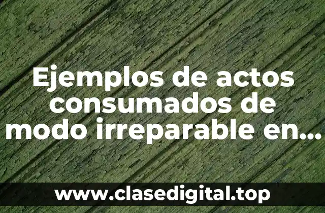 Ejemplos de actos consumados de modo irreparable en amparo