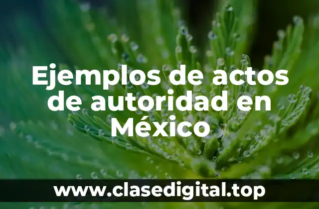 Ejemplos de actos de autoridad en México