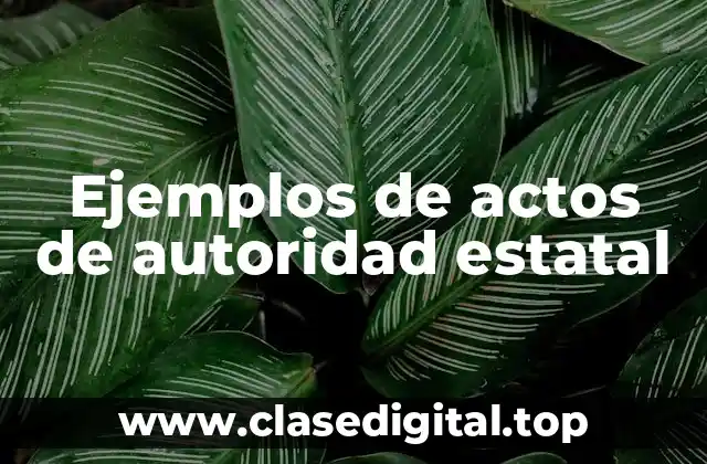 Ejemplos de actos de autoridad estatal